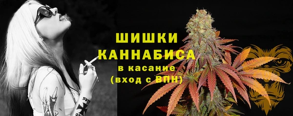 первитин Бородино