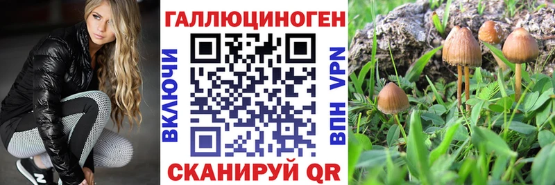 продажа наркотиков  Волжск  Галлюциногенные грибы Psilocybe 